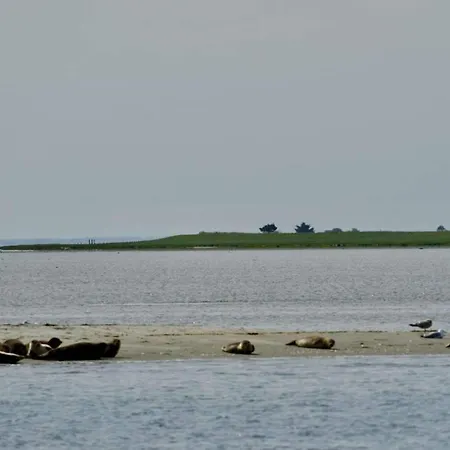 Feriehus 6 Person In Hadsund